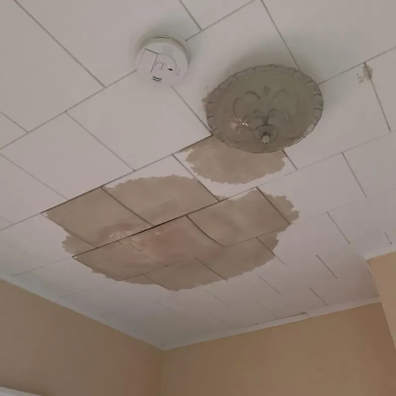 Ceiling Water Damage Repair in Harper Woods, MI