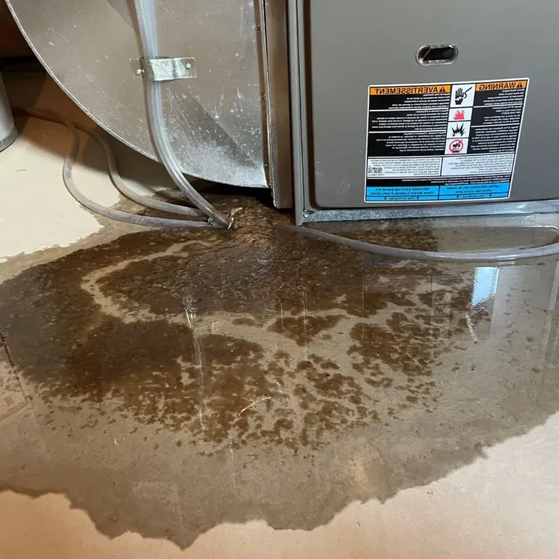 Pipe Burst and Leak Restoration in Harper Woods, MI