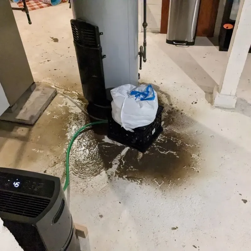 Sewage Backup Cleanup Service in Harper Woods, MI